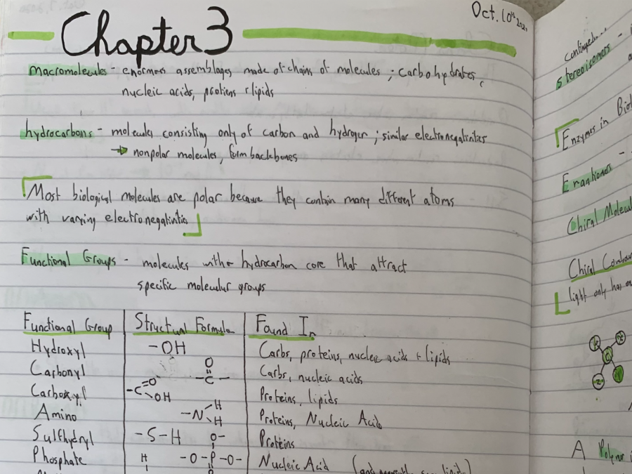 Evelyn Bond (’22) organizes her AP Biology notes using colorful subheadings and diagrams. From notetaking to bullet journalling, putting a pen on paper comes in a variety of forms and each serves different purposes.